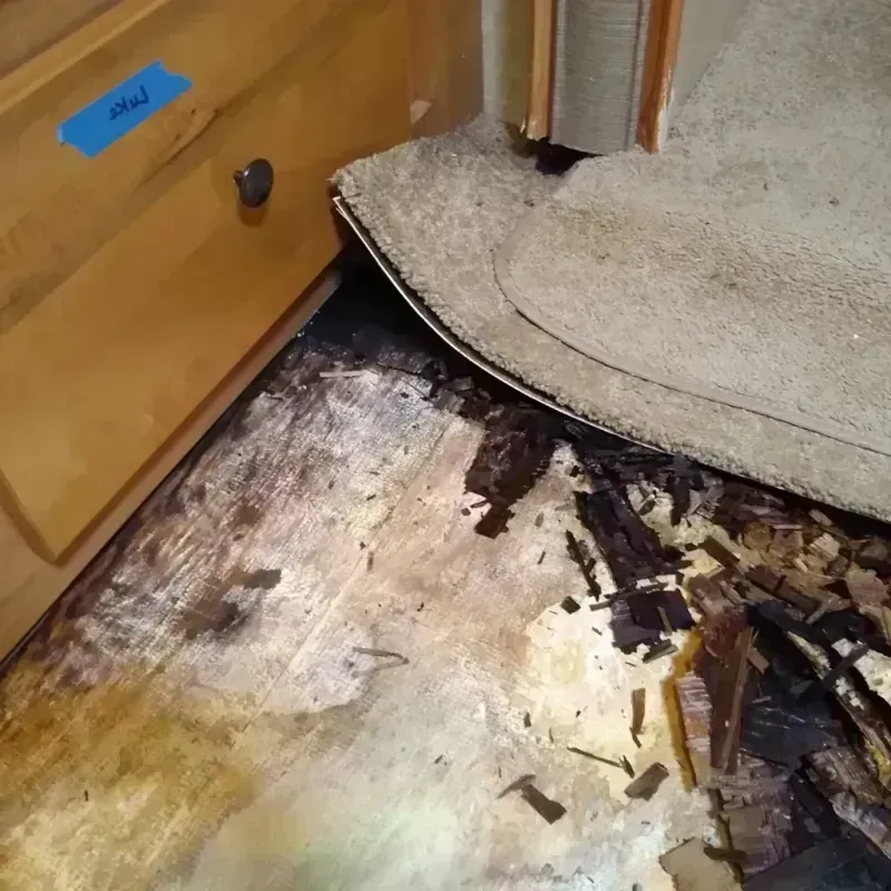 Wood Floor Water Damage in Brookhaven, WV